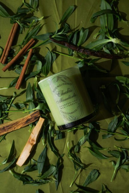 Buongiorno Chalis Mandorlo – Orman Ferahlığı Soya Mum